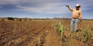 Más de la mitad de municipios de Tamaulipas en semáforo rojo del agua