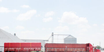 Gobierno de Tamaulipas otorgará apoyos a productores de sorgo