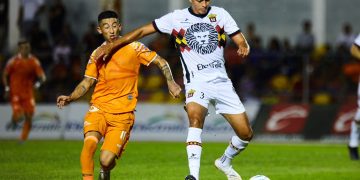 Cae Correcaminos ante Leones Negros