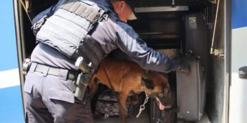 Guardia Estatal redobla vigilancia en centrales de autobuses