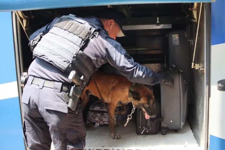 Guardia Estatal redobla vigilancia en centrales de autobuses