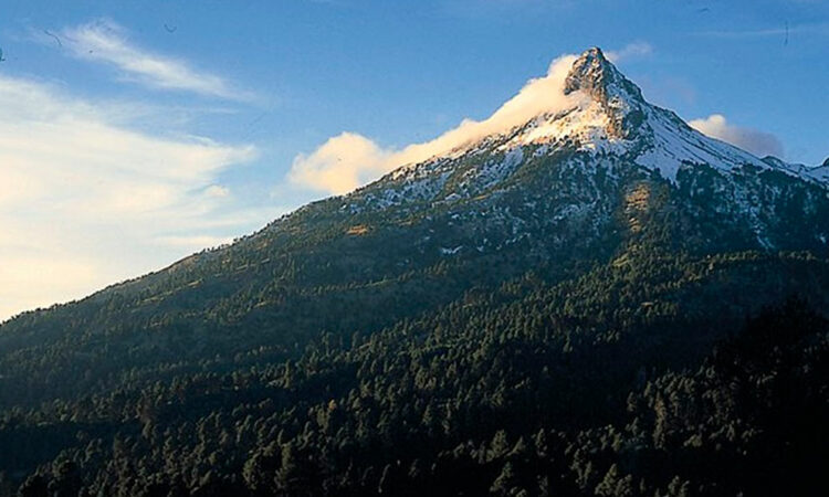 Cerrado Nevado de Colima
