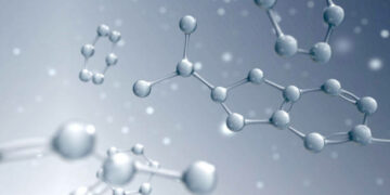 que significa Horminal