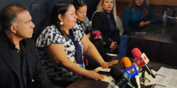 Acuerdan partidos y ambientalistas de Tamaulipas no usar pirotecnia en campanas