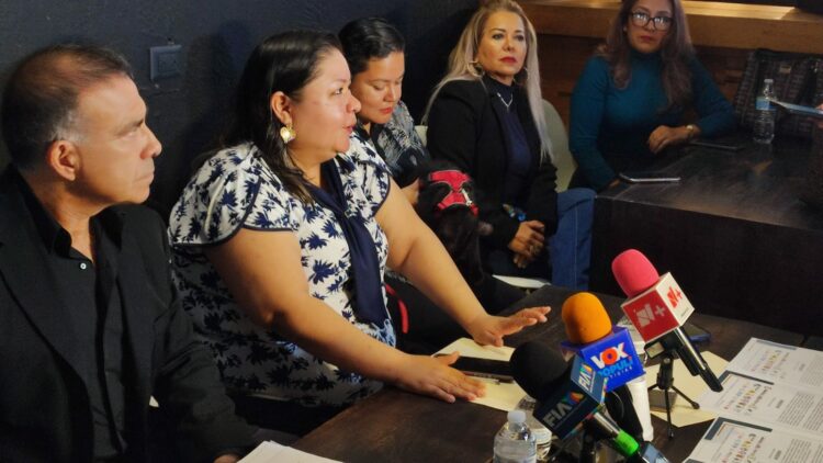 Acuerdan partidos y ambientalistas de Tamaulipas no usar pirotecnia en campanas