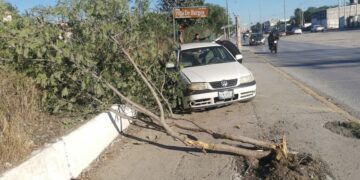 Choca en el eje vial y abandona su vehículo