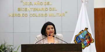 Proceso para la Elección del Auditor Interino será cauteloso