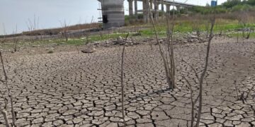 Presa Vicente Guerrero se encuentra al 9.9 por ciento de su capacidad