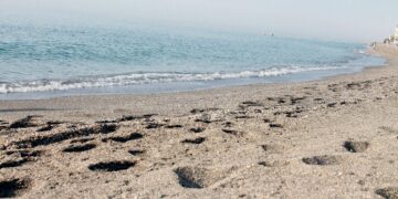 bacterias de heces en playas de México