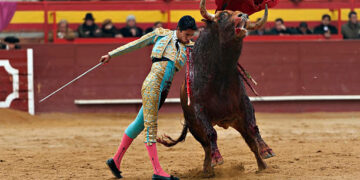 consulta sobre corridas taurinas