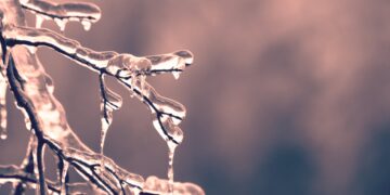 helada en municipio de Tamaulipas