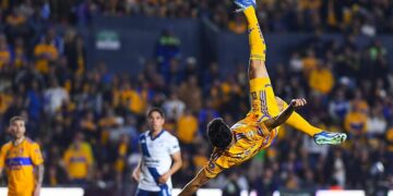 nico ibañez chilena