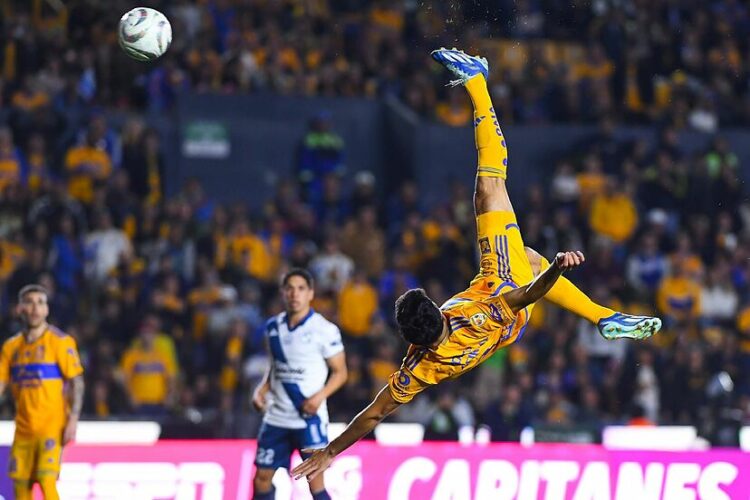 nico ibañez chilena