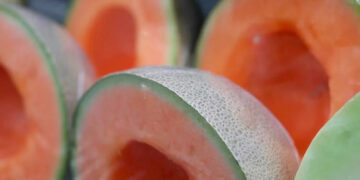 Descartan brote de salmonella en Sonora