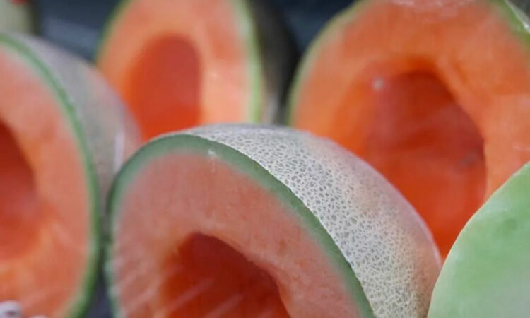 Descartan brote de salmonella en Sonora