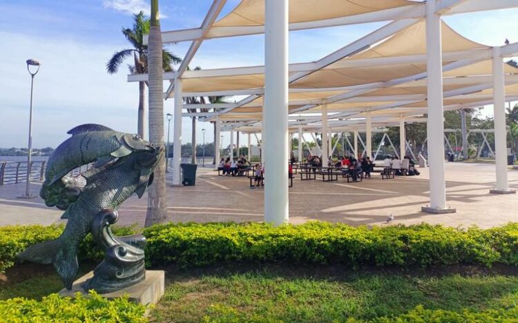 Se acerca el día más frío para Tamaulipas