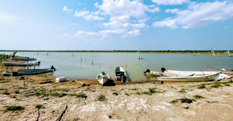 Sequía es un problema para pescadores comerciales