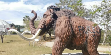 Vandalismo en Museo Tamux