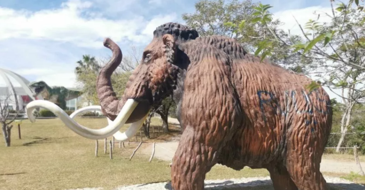 Vandalismo en Museo Tamux