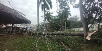 Efectos del frente frío en Tamaulipas