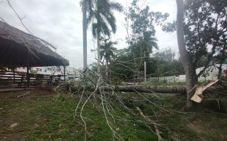 Efectos del frente frío en Tamaulipas