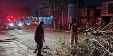 Fuertes vientos derriban árboles y provocan apagones