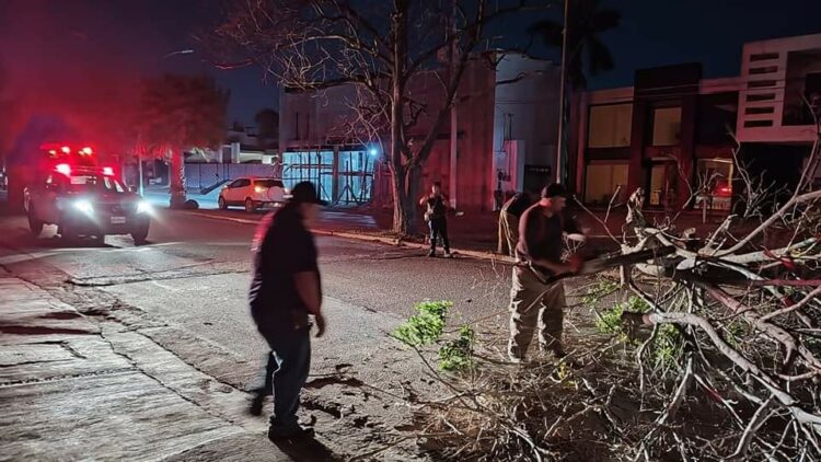 Fuertes vientos derriban árboles y provocan apagones