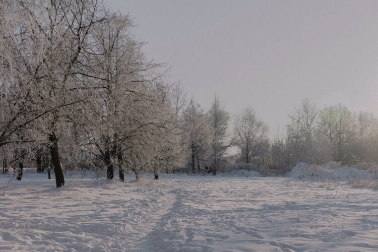 cayó nieve en Tamaulipas