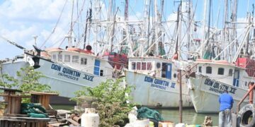 nuevas gasolineras de Bienestar