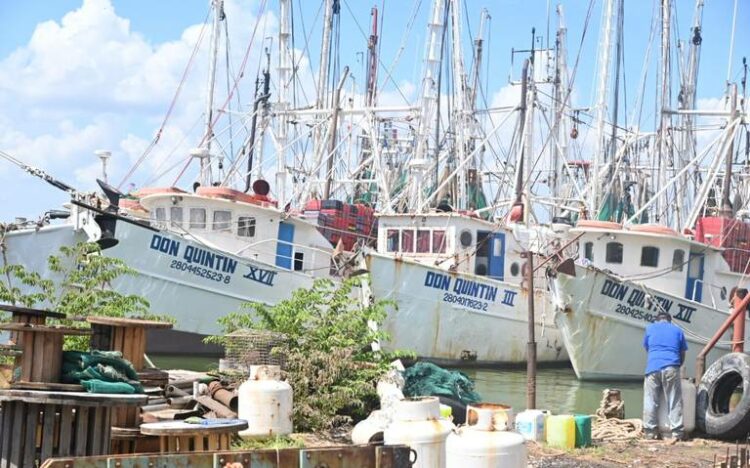 nuevas gasolineras de Bienestar