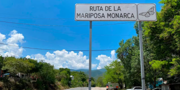 ruta de la mariposa monarca