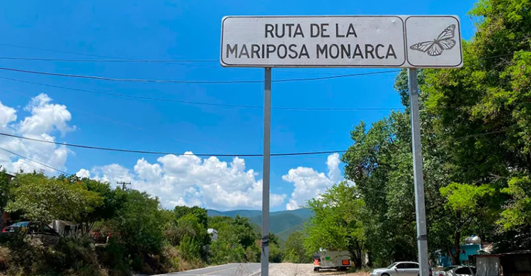 ruta de la mariposa monarca