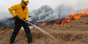 Prevén que temporada de incendios forestales se adelante en Tamaulipas