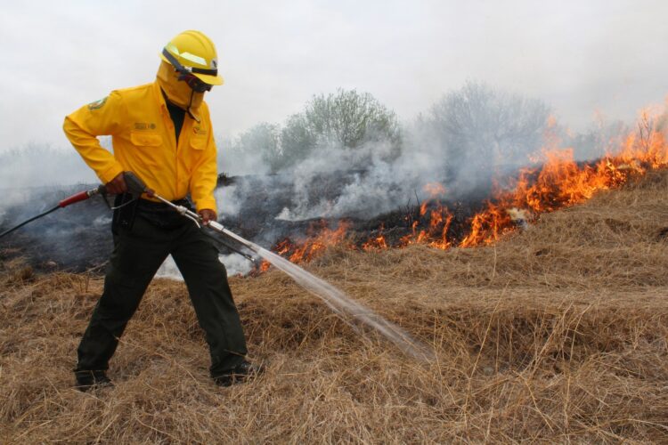 Prevén que temporada de incendios forestales se adelante en Tamaulipas