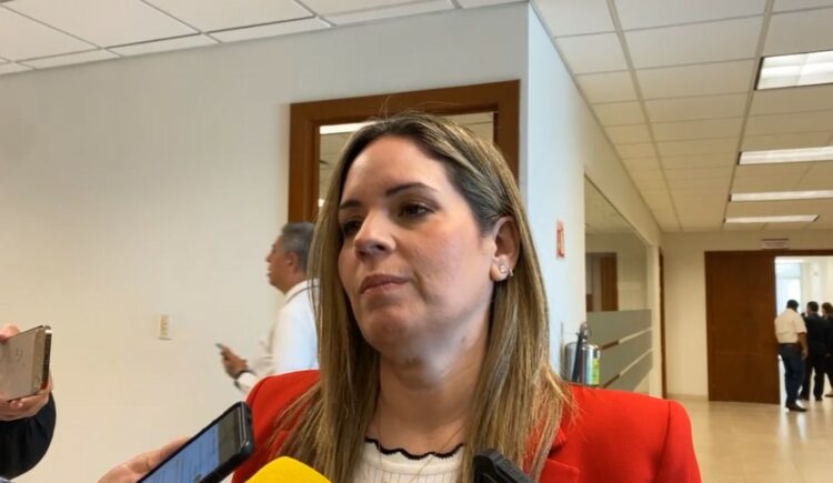 Pide Diputada Ale Cárdenas evaluar peaje de Rumbo Nuevo