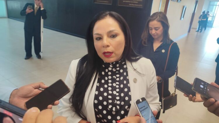 Comisión de derechos humanos está respaldada por tratados internacionales: Olivia Lemus