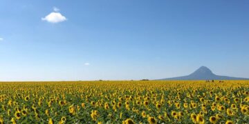 Foto tomada de Google.