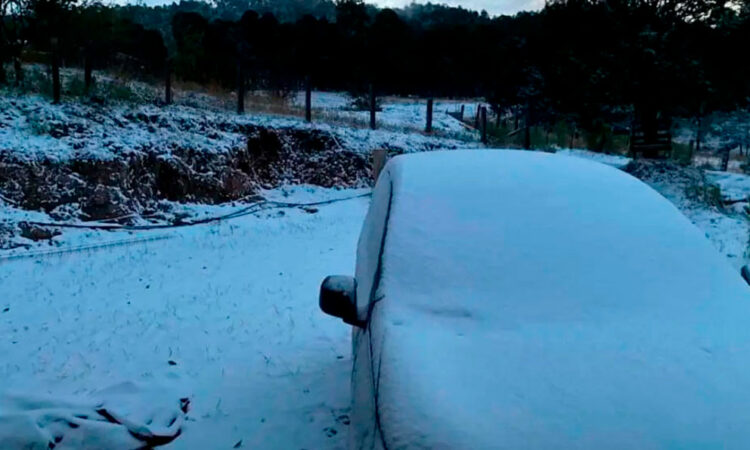 quinta tormenta invernal a México