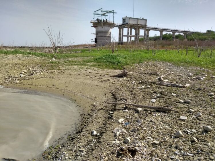 Presa Vicente Guerrero baja al 9.3 por ciento