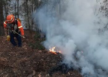 180 hectarias de vegetación son consumida por el fuego en sierra Hidalgo