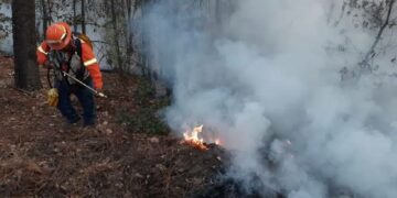 180 hectarias de vegetación son consumida por el fuego en sierra Hidalgo