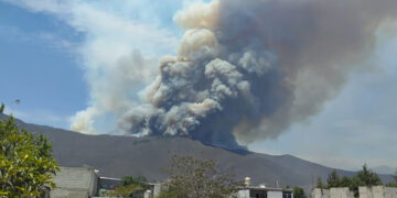 Incendios forestales consumen más de 620 hectáreas en Veracruz