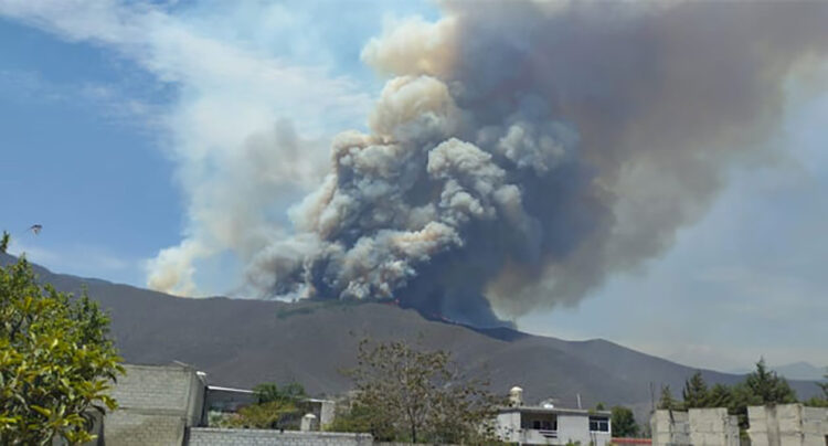 Incendios forestales consumen más de 620 hectáreas en Veracruz