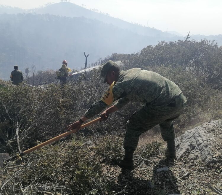 Activan Plan DN-III-E y Plan GN- A, por incendio en El Mante