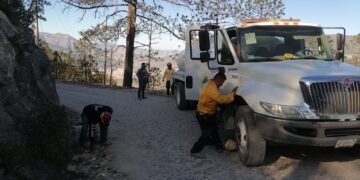 Incendio forestal en Miquihuana arrasa con 425 hectáreas de pino