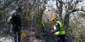 Incendio forestal en El Mante controlado al 95%