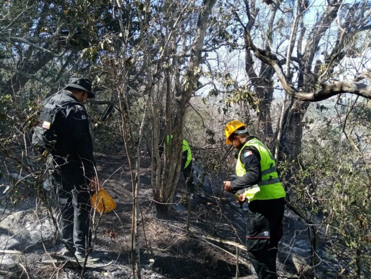 Incendio forestal en El Mante controlado al 95%