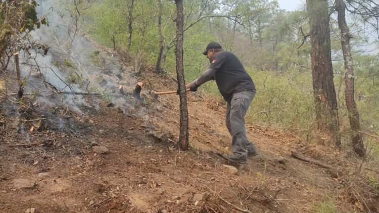 Colabora PC de Victoria en combate de incendioforestal en Cañón del Novillo