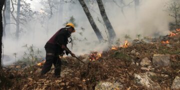 Plan Tamaulipas persiste en combate de incendio forestal en “La Chona”