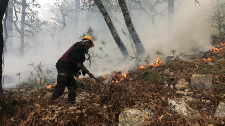 Plan Tamaulipas persiste en combate de incendio forestal en “La Chona”